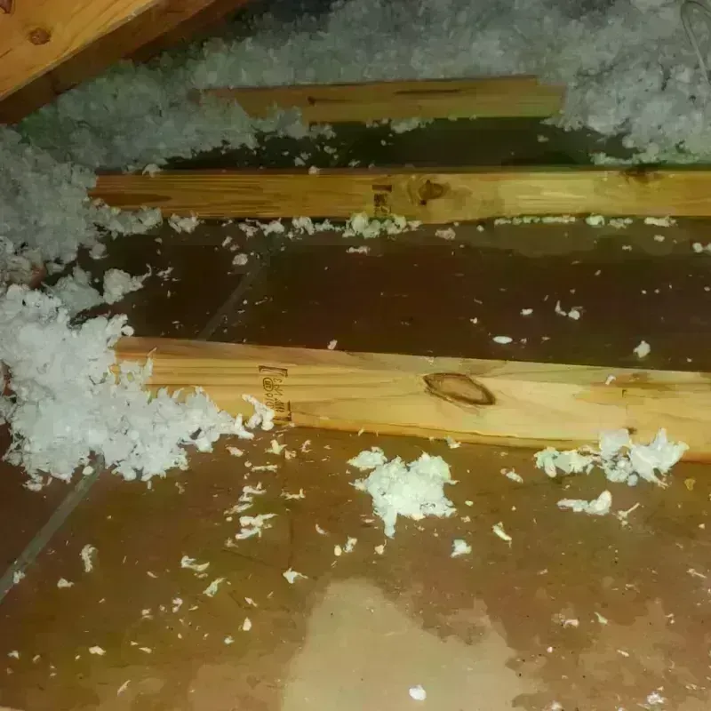 Attic Water Damage in Franconia, VA